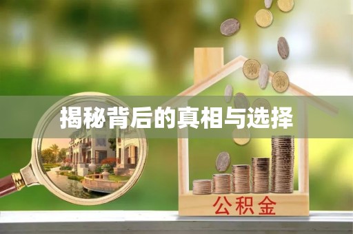 淅川揭秘背后的真相与选择