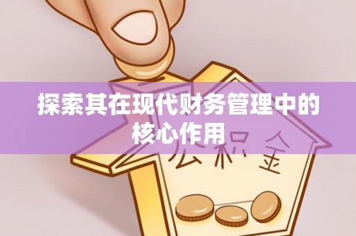淅川探索其在现代财务管理中的核心作用