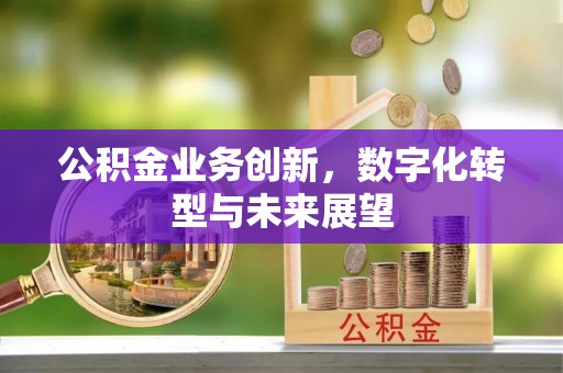 淅川公积金业务创新，数字化转型与未来展望